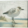 Metaverse Beach Bird I By James Wiens Canvas Art
