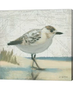 Metaverse Beach Bird I By James Wiens Canvas Art