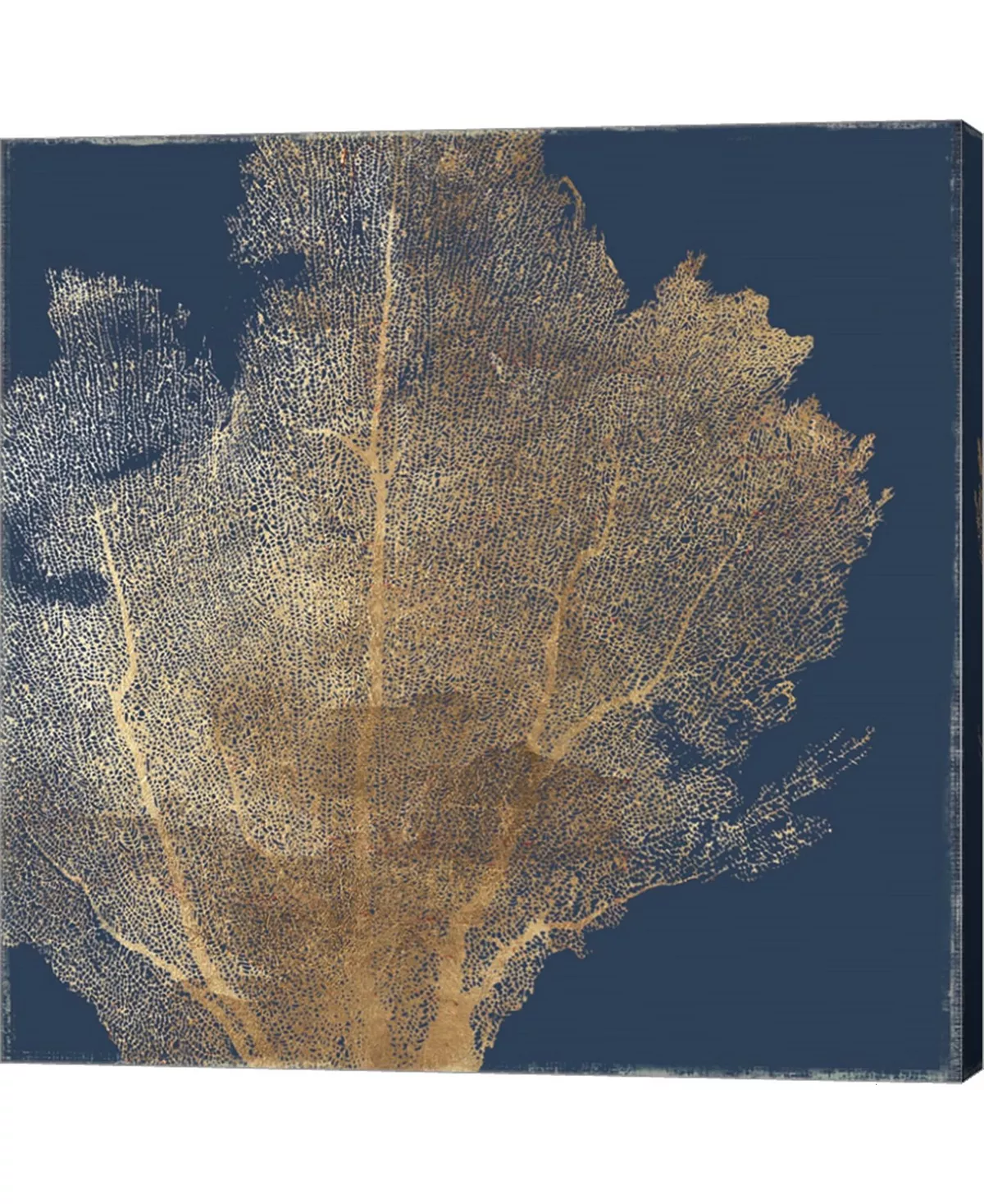 Metaverse Gold Coral I By Aimee Wilson Canvas Art