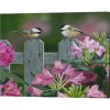 Metaverse Back Yard Chat By William Vanderdasson Canvas Art