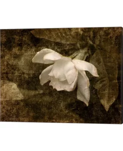 Metaverse Cape Jasmine Garden2 By Jai Johnson Canvas Art
