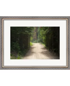 Metaverse Adventure By Ramona Murdock Framed Art