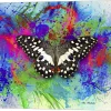 Metaverse Color And Butterfly 2 By Ata Alishahi Canvas Art