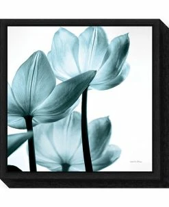 Amanti Art Translucent Tulips III Aqua By Debra Van Swearingen Canvas Framed Art