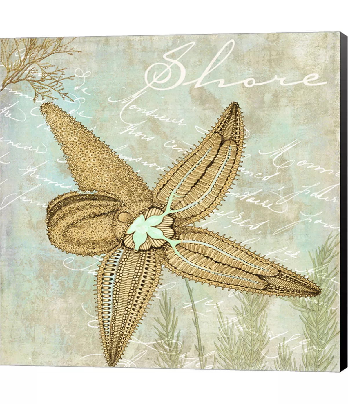 Metaverse Turquoise Beach V By Color Bakery Canvas Art