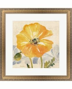 Metaverse Watercolor Poppies 6 By Pamela Gladding Framed Art