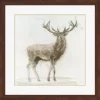 Metaverse Stag By James Wiens Framed Art