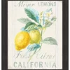Metaverse Floursack Lemon II By Danhui Nai Framed Art