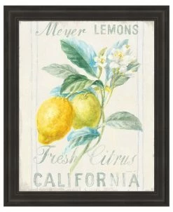 Metaverse Floursack Lemon II By Danhui Nai Framed Art