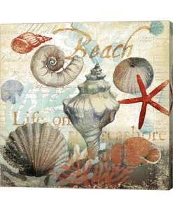 Metaverse Shell Collector1 By Art Licensing Studio Canvas Art