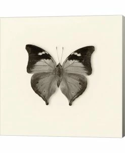 Metaverse Butterfly VII By Debra Van Swearingen Canvas Art