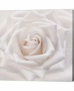 Metaverse Soft White Rose By Cora Niele