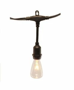 Macy's Lumabase 12 Commercial Edison Electric String Lights