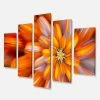 Design Art Art Massive Orange Fractal Flower Canvas Art Print - 60 X 32 - 5 Panels