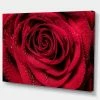 Design Art Art Red Rose Petals With Rain Droplets Floral Art Canvas Print - 32 X 16
