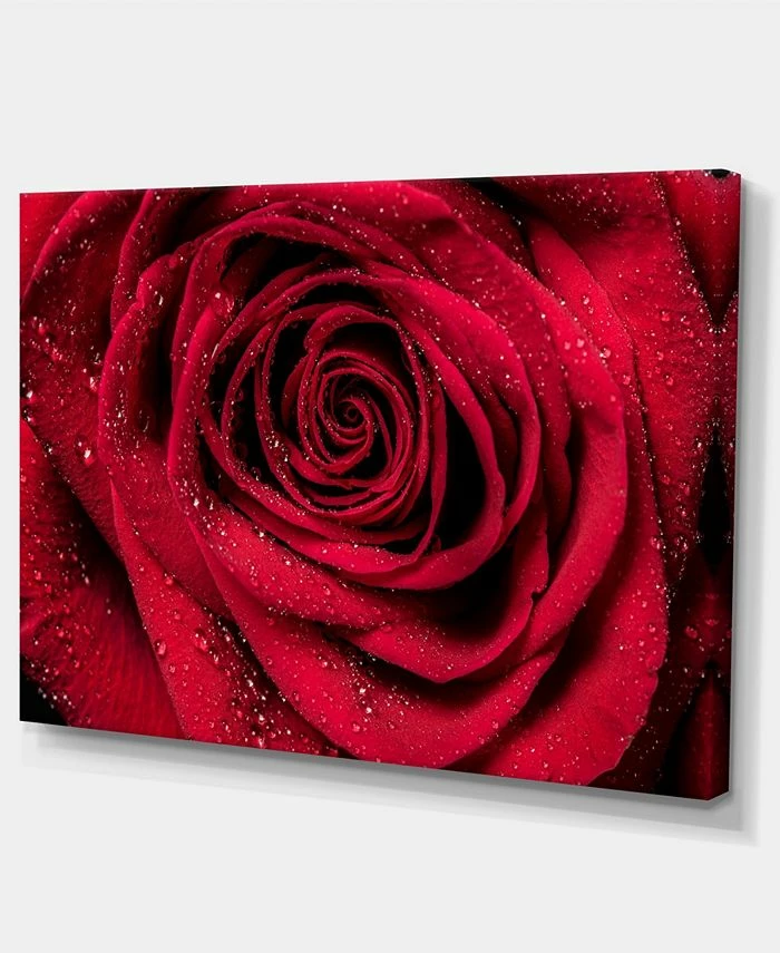 Design Art Art Red Rose Petals With Rain Droplets Floral Art Canvas Print - 32 X 16