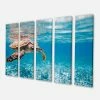 Design Art Art Large Hawksbill Sea Turtle Canvas Art Print - 60 X 28 - 5 Panels