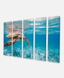 Design Art Art Large Hawksbill Sea Turtle Canvas Art Print - 60 X 28 - 5 Panels