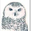 COURTSIDE MARKET GG Funky Owl Portrait IV Gallery-Wrapped Canvas Wall Art - 18 X 24
