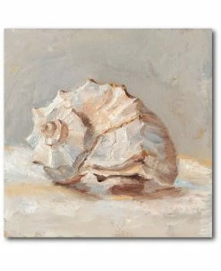 COURTSIDE MARKET Impressionist Shell Study II Gallery-Wrapped Canvas Wall Art - 20 X 20