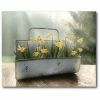 COURTSIDE MARKET Daffodil Tin Gallery-Wrapped Canvas Wall Art - 16 X 20