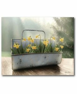 COURTSIDE MARKET Daffodil Tin Gallery-Wrapped Canvas Wall Art - 16 X 20