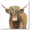 COURTSIDE MARKET Highland Cattle II Gallery-Wrapped Canvas Wall Art - 20 X 20