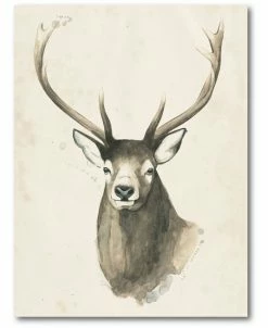 COURTSIDE MARKET Big Buck II Gallery-Wrapped Canvas Wall Art - 18 X 24