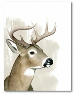 COURTSIDE MARKET New Buck Gallery-Wrapped Canvas Wall Art - 16 X 20