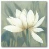 COURTSIDE MARKET Waterlily II Gallery-Wrapped Canvas Wall Art - 16 X 16
