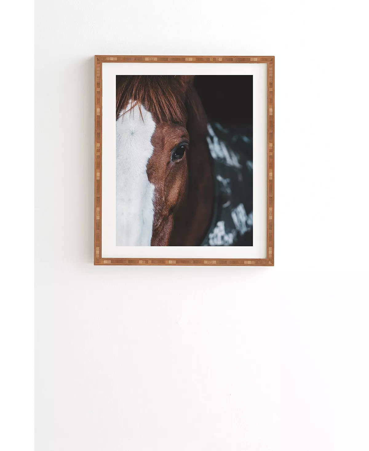 Deny Designs Horse Cheyenne Framed Wall Art