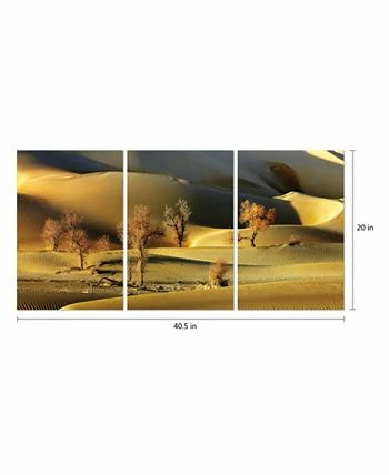 Chic Home Decor Golden Desert 3 Piece Wrapped Canvas Wall Art -20 X 40 - Image 2