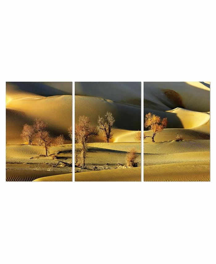 Chic Home Decor Golden Desert 3 Piece Wrapped Canvas Wall Art -20 X 40