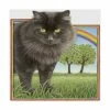 Trademark Global Francien Van Westering 'Black Cat And Rainbow' Canvas Art - 14 X 14