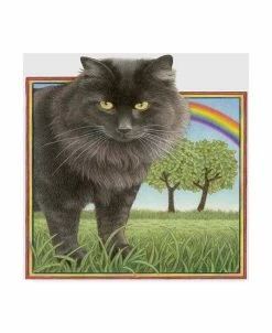 Trademark Global Francien Van Westering 'Black Cat And Rainbow' Canvas Art - 14 X 14