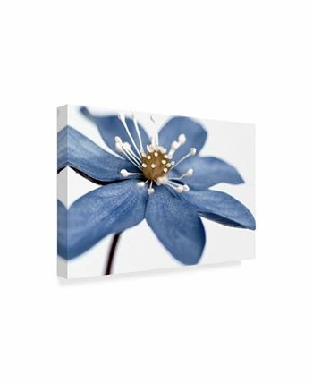 Trademark Global Quartermaine 'Blue Flower On White' Canvas Art - 24 X 16 - Image 2
