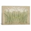 ICanvas Narcissus Cool By Cheri Blum Gallery-Wrapped Canvas Print - 26 X 40 X 0.75