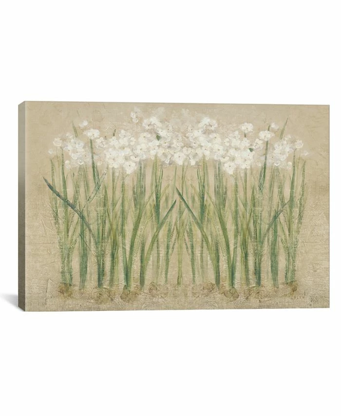 ICanvas Narcissus Cool By Cheri Blum Gallery-Wrapped Canvas Print - 26 X 40 X 0.75