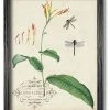 COURTSIDE MARKET Nna Dragonflies I 16 X 20 Framed Canvas Wall Art