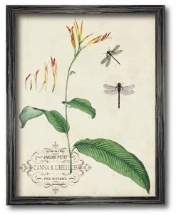 COURTSIDE MARKET Nna Dragonflies I 16 X 20 Framed Canvas Wall Art