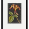 COURTSIDE MARKET Dramatic Tropicals III 16 X 20 Framed And Matted Art