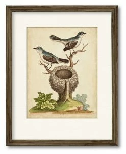 COURTSIDE MARKET Natural Habitat II 16 X 20 Framed And Matted Art