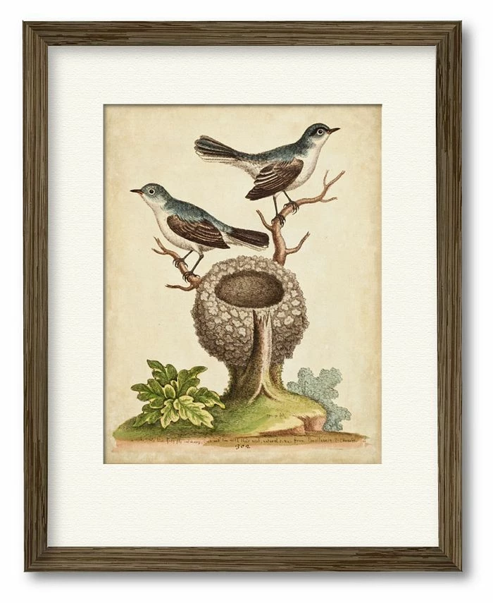 COURTSIDE MARKET Natural Habitat II 16 X 20 Framed And Matted Art