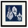 COURTSIDE MARKET Feathers 16 X 16 Framed And Matted Art