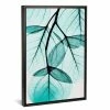 ICanvas Teal Eucalyptus By Albert Koetsier Gallery-Wrapped Canvas Print - 40 X 26 X 0.75