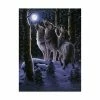 Trademark Global R W Hedge Midnight Clear Canvas Art - 27 X 33.5