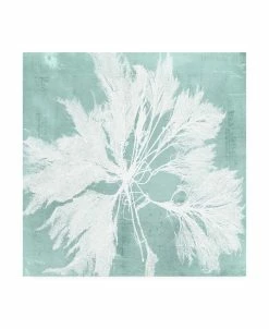 Trademark Global Vision Studio Seaweed On Aqua VI Canvas Art - 15.5 X 21