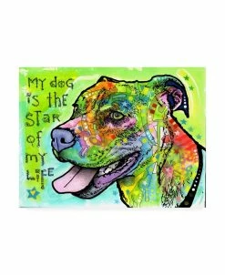 Trademark Global Dean Russo The Star Of My Life Canvas Art - 15.5 X 21