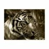 Trademark Global Dana Brett Munich Focus Photography Canvas Art - 36.5 X 48