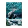 Trademark Global Dann Spider Warren Mermaids Of Crystal River Canvas Art - 19.5 X 26